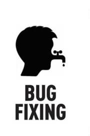 BUG FIXING BUG FIXING